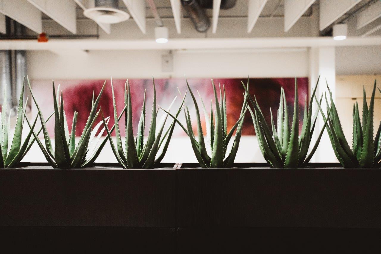 ANCA_Bravallagymnasium-3