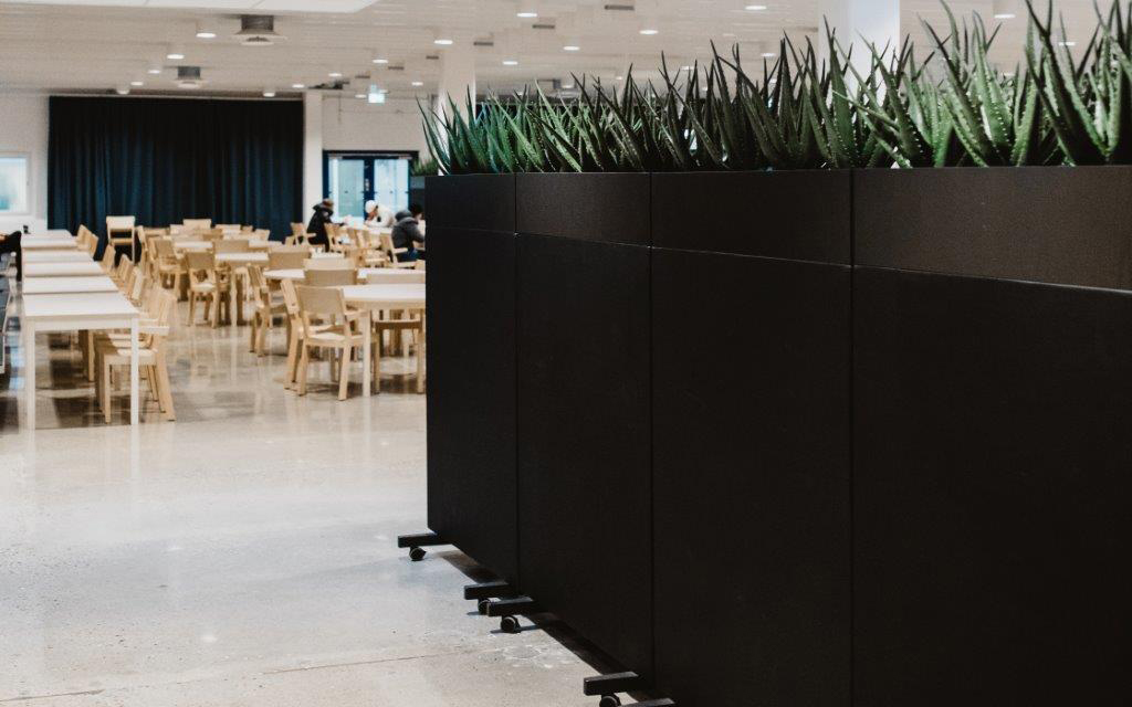 ANCA_Bravallagymnasium_kvadrat-7