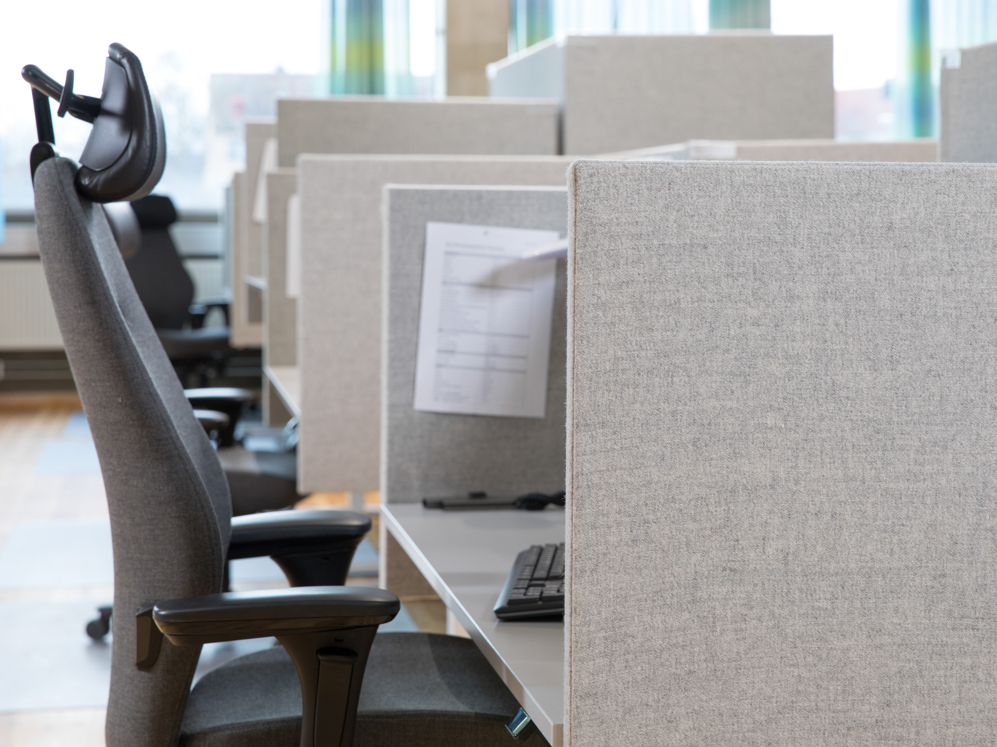 Zilenzio_GN.2017.6X7A8858