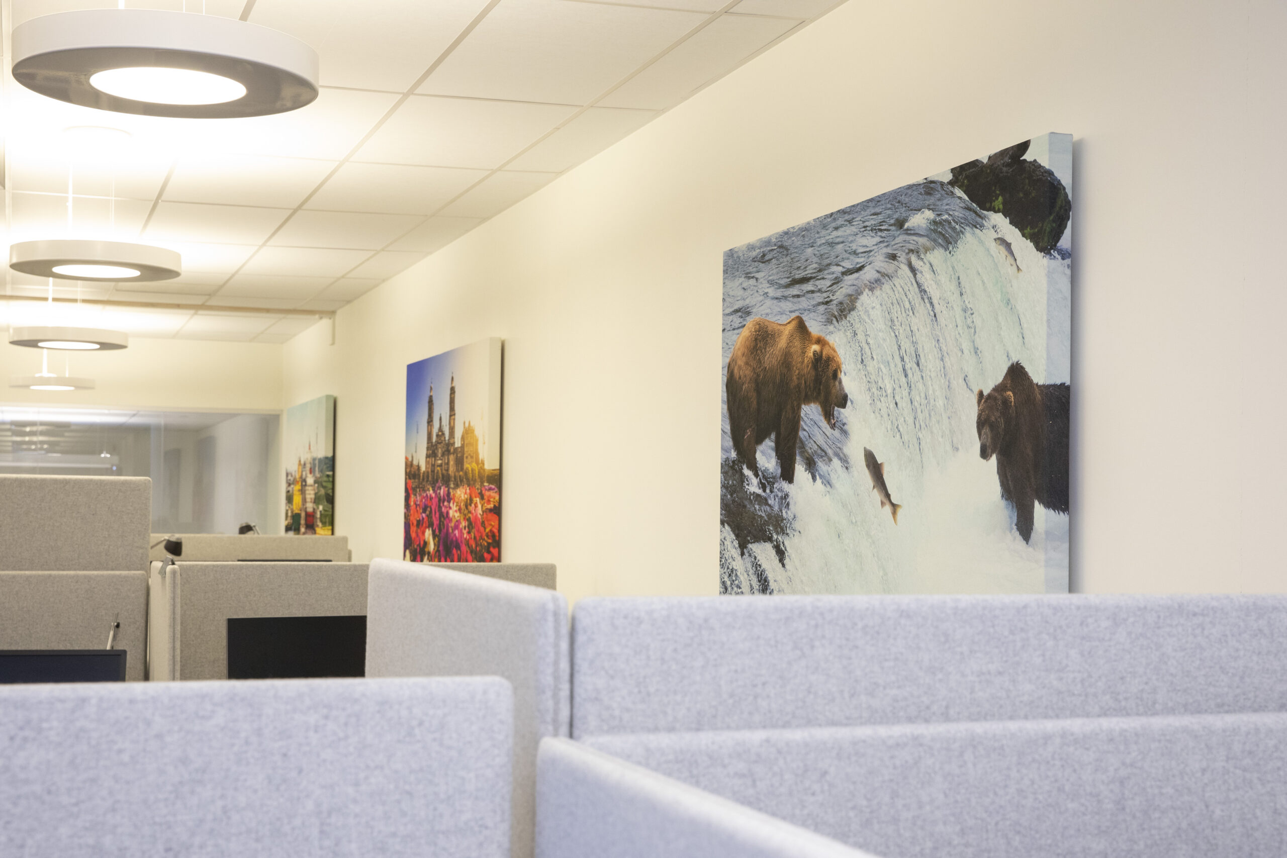 zilenzio-forsakringskassan-visby-bildvision-2020-gn.6X7A3313